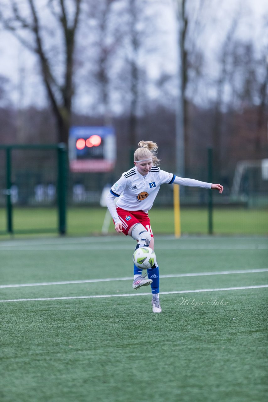 Bild 162 - wBJ HSV - F VfL Jesteburg : Ergebnis: 6:1